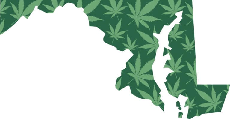 Maryland Marijuana Leaves Pattern